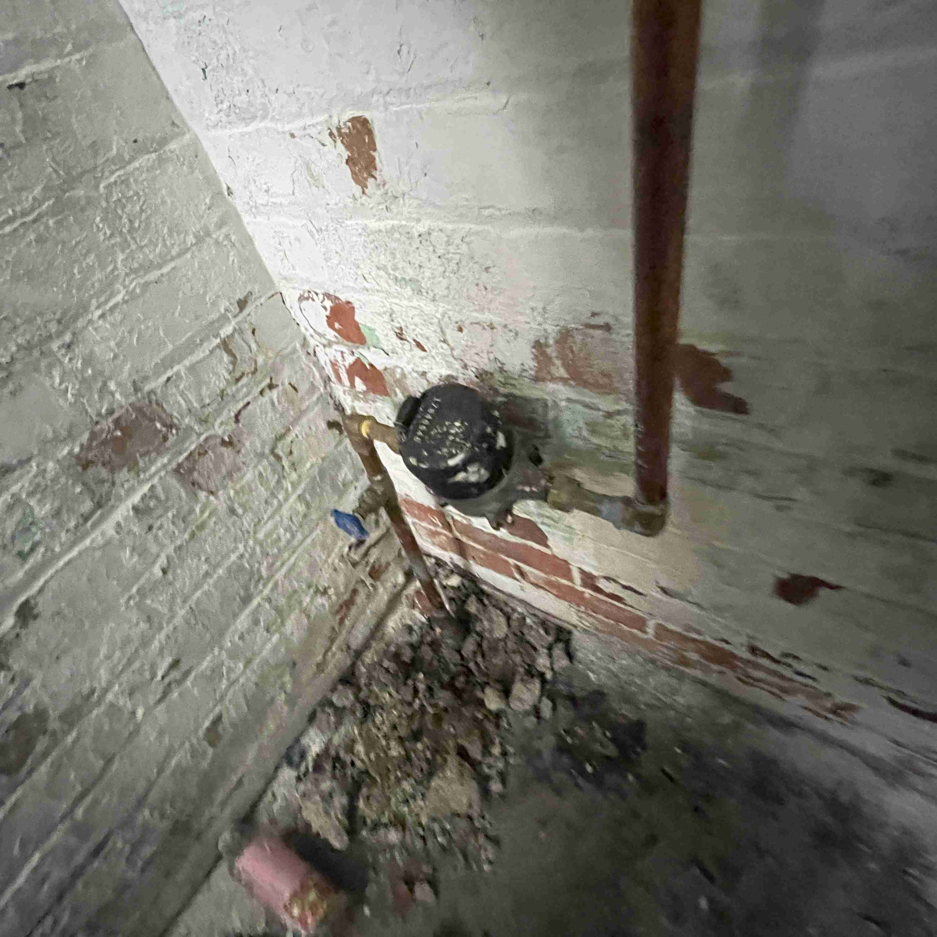 18653 Westphalia (69).jpg